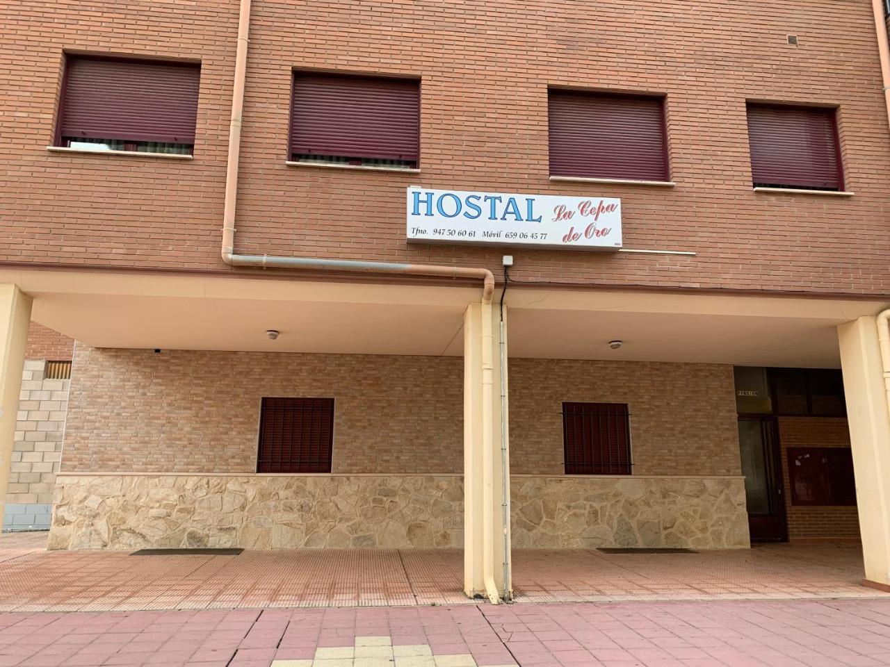 Hostal La Cepa De Oro Aranda de Duero Kültér fotó